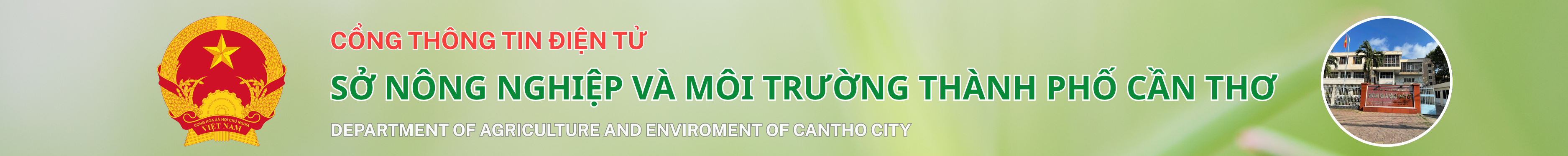 image banner